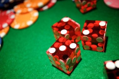 tebutogel Our Terms Shape How We Work Together